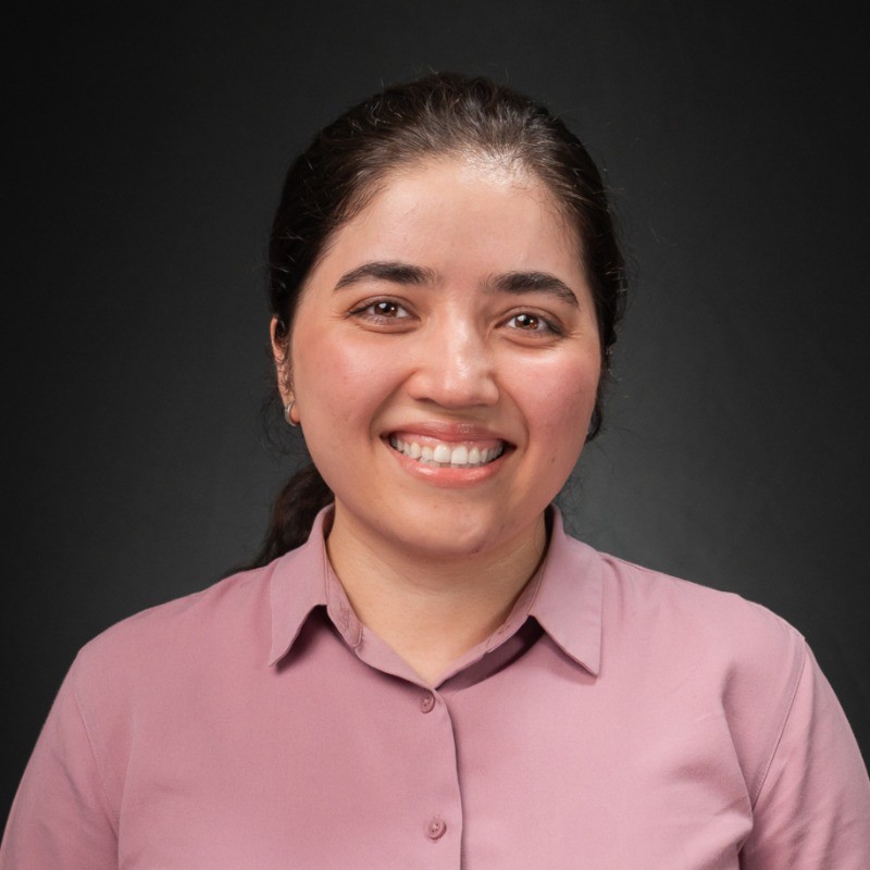 Somayeh Hussaini